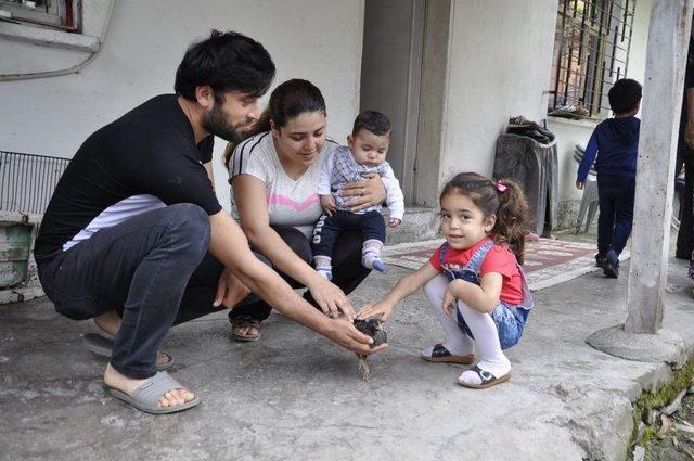 Küçük Elif Sema, Mps Hastalığının Pençesine Düştü