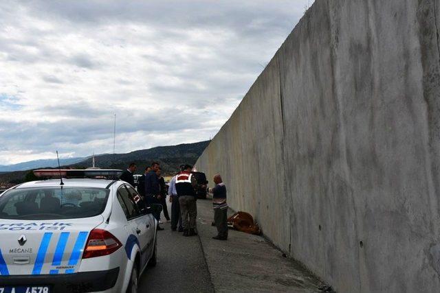 Kastamonu’da D-100 Karayoluna İnek Düştü