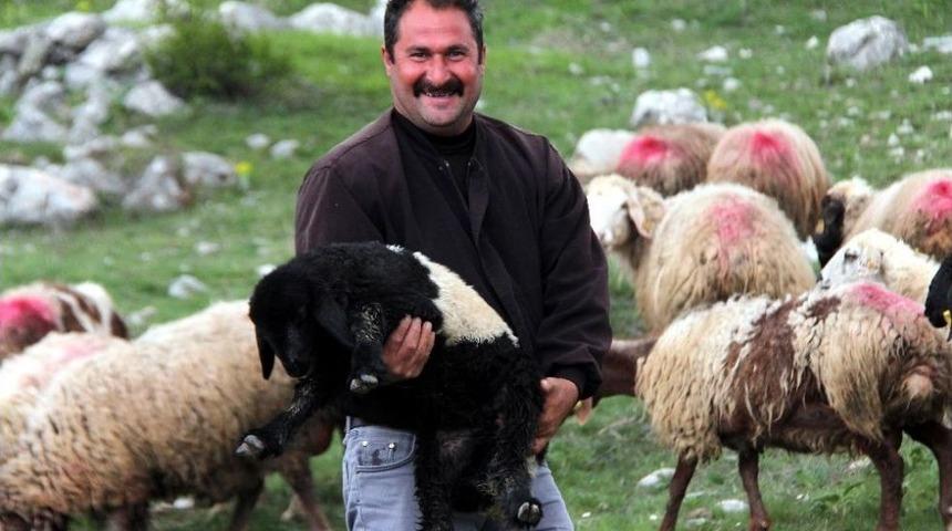 (&ouml;zel Haber) Devlet Destekledi, Eski H&uuml;k&uuml;ml&uuml; Herkese &Ouml;rnek Oldu