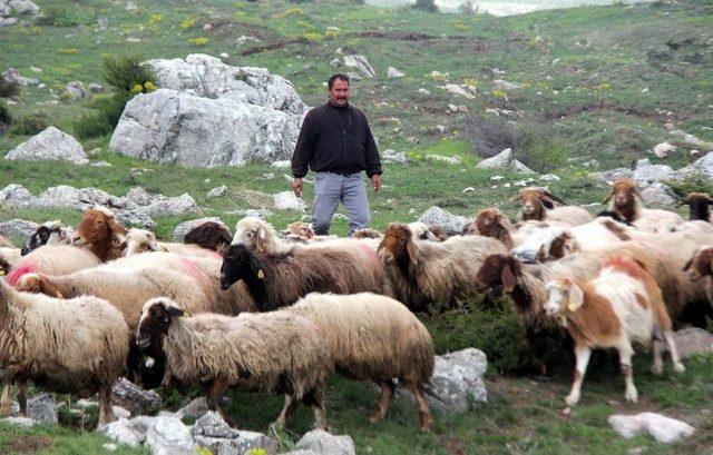 (özel Haber) Devlet Destekledi, Eski Hükümlü Herkese Örnek Oldu