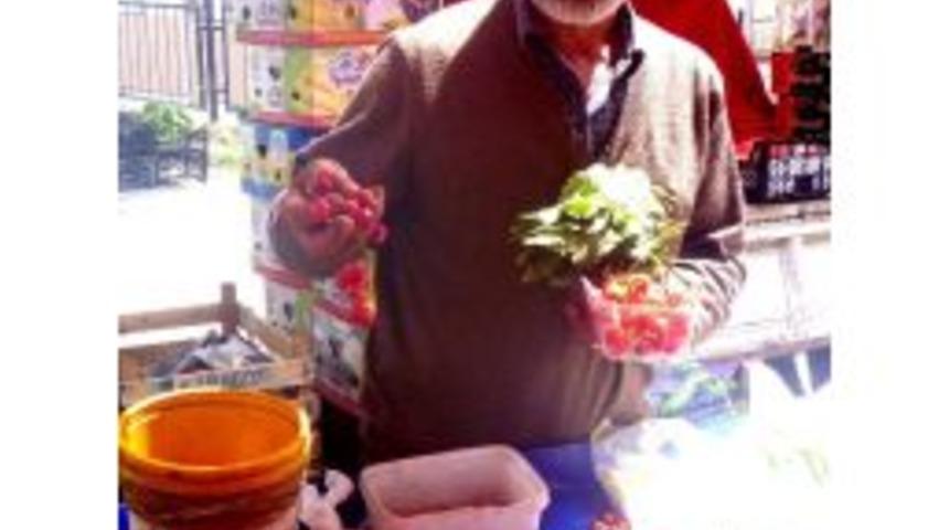 Bilecik&rsquo;in İlk Erkenci Kirazı Pazara &Ccedil;ıktı