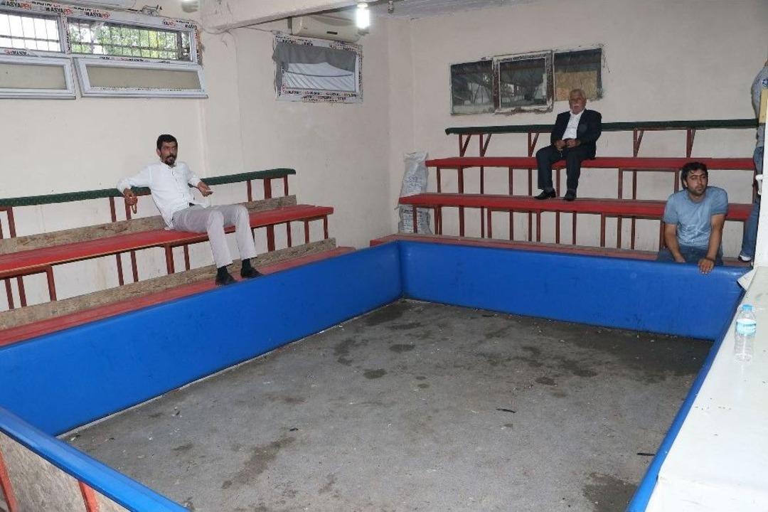 Horozları &Uuml;nl&uuml; Boks&ouml;rlerin İsmini Verip D&ouml;v&uuml;şt&uuml;rd&uuml;ler