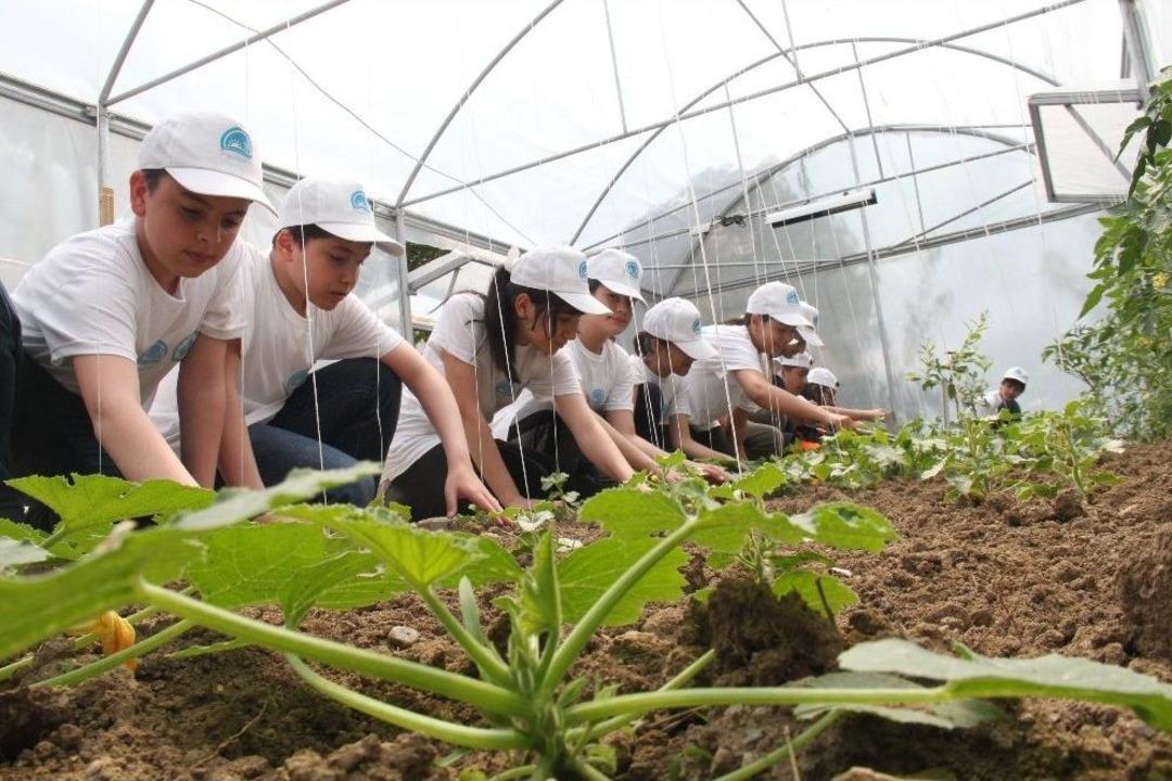 &Ccedil;iftlik Gibi Okul