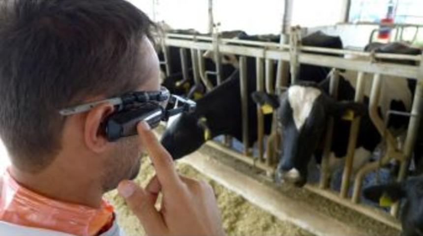 Tarsim Kurumsal Mimari İle Yeniden D&ouml;n&uuml;ş&uuml;yor