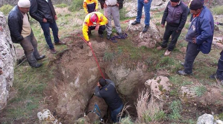 &Ccedil;ukura D&uuml;şen B&uuml;y&uuml;kbaş Hayvanı Afad Ekipleri &Ccedil;ıkardı
