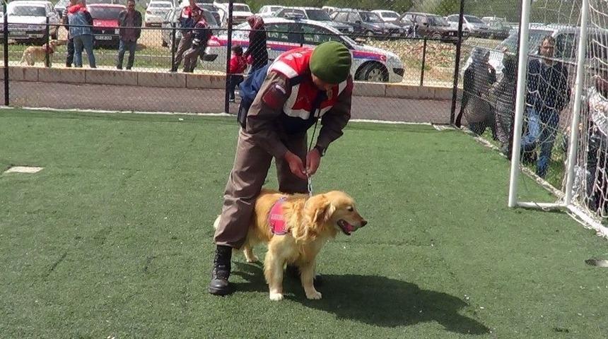 &Ccedil;ocukların Jandarmanın Arama Kurtarma Narkotik K&ouml;peklerine İlgisi