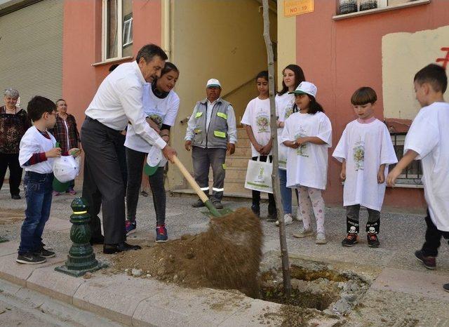 Hoşnudiye’de Sokak Ağaçlandırma Çalışması