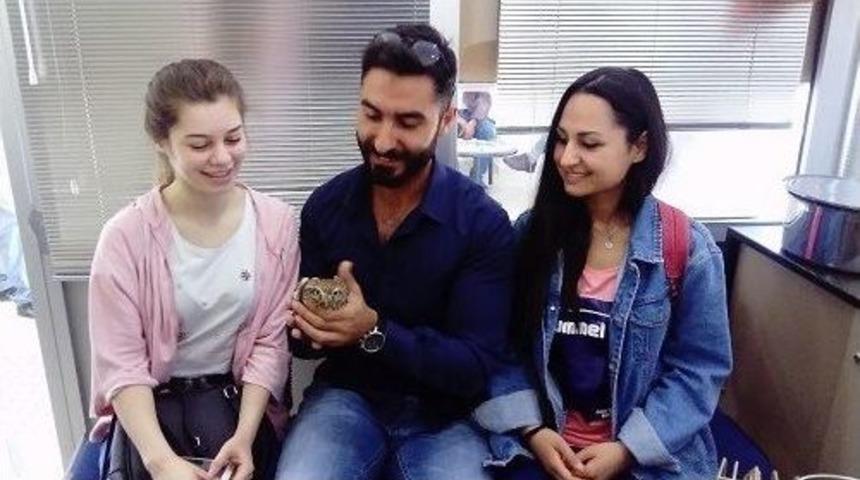 Yaralı Baykuşa Devlet Sahip &Ccedil;ıktı