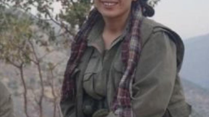 Suru&ccedil;&rsquo;Taki Bombalı Aracı Kullanan Pkk'lı Ter&ouml;ristin Kimliği Belirlendi