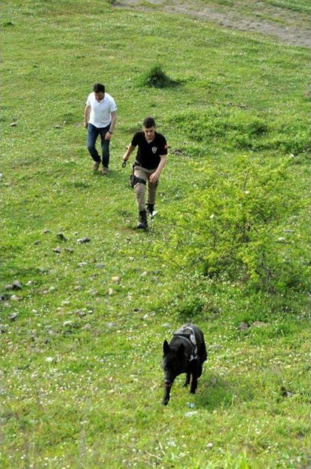 Zonguldak'ta 'drone'lu, Köpekli Uyuşturucu Araması