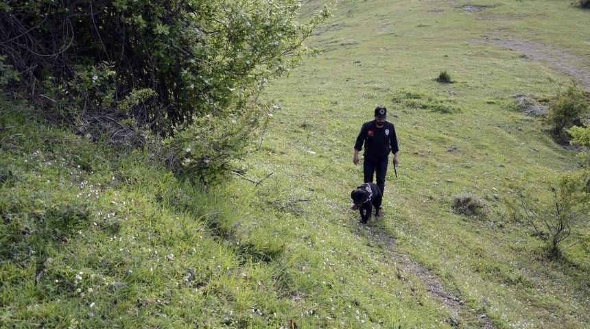 Polisten K&ouml;pek Ve İha İle Uyuşturucu Uygulaması