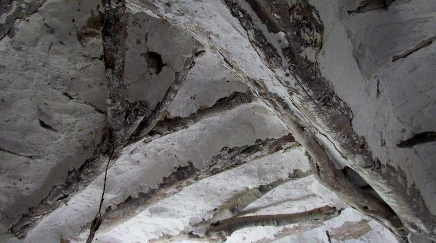 &Ccedil;eşme&rsquo;de Doğa Ve K&uuml;lt&uuml;r Gezisi