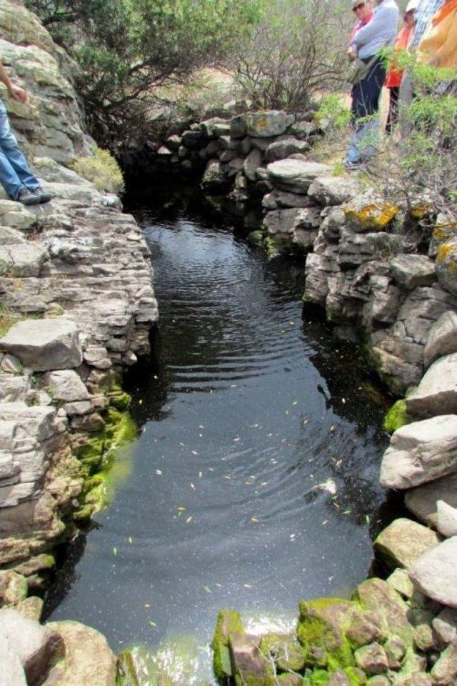 &Ccedil;eşme&rsquo;de Doğa Ve K&uuml;lt&uuml;r Gezisi 3