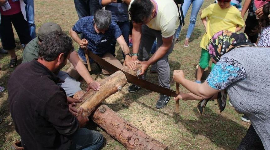 Bodrum&rsquo;da 22. Pedasa Festivali Yapıldı