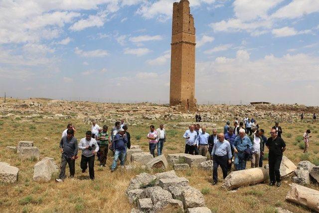 Belediye Başkanları Şanlıurfa Programını Geziyle Tamamladı 2