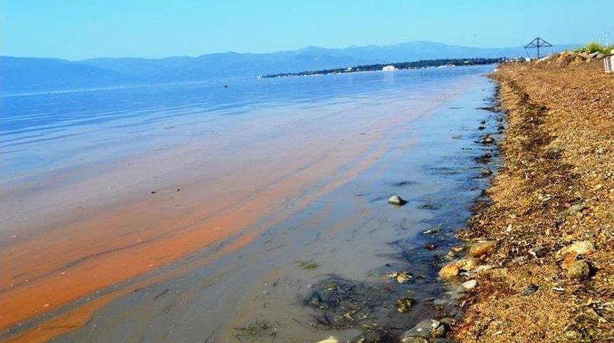 Burhaniye&rsquo;de Deniz Sarıya Boyandı