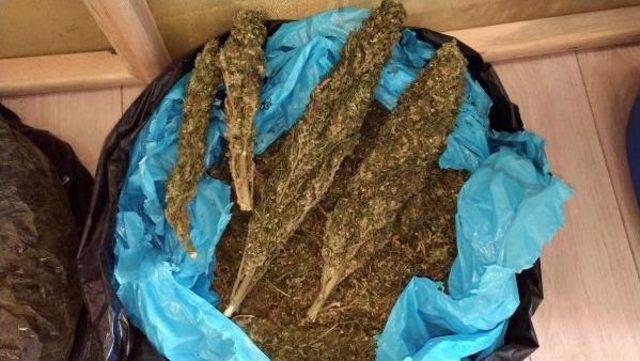 İstanbul da 315 Kilo Uyuşturucu Ele Geçirildi 1