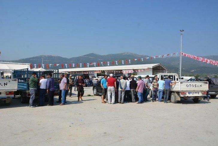 Kiraz Pazarında Yoğun Hareketlilik G2