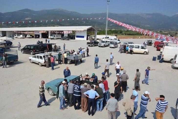 Kiraz Pazarında Yoğun Hareketlilik G3