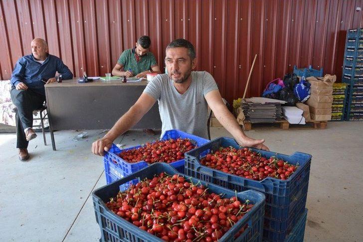 Kiraz Pazarında Yoğun Hareketlilik G5