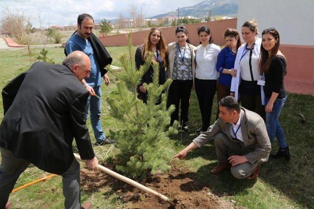 15 Temmuz Şehitleri İçin Fidanlar Dikildi