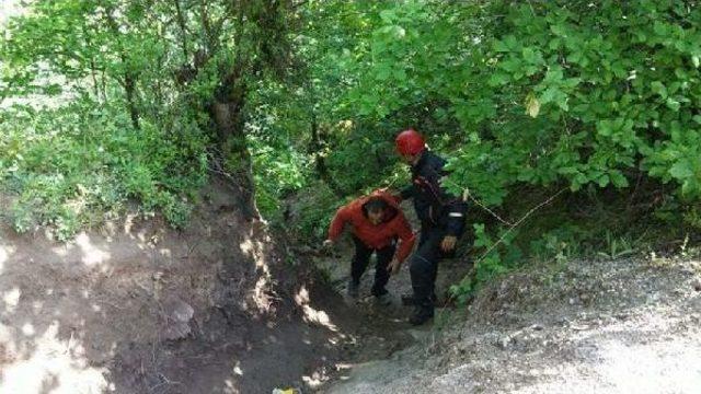 Ormanda Kaybolan Gençleri Afad Buldu