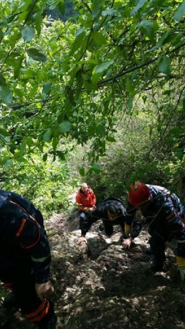 Ormanda Kaybolan Gençleri Afad Buldu