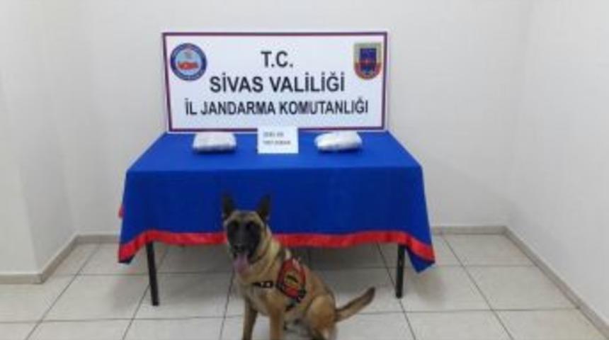 Sivas&rsquo;ta 3 Kilo Esrar Ele Ge&ccedil;irildi