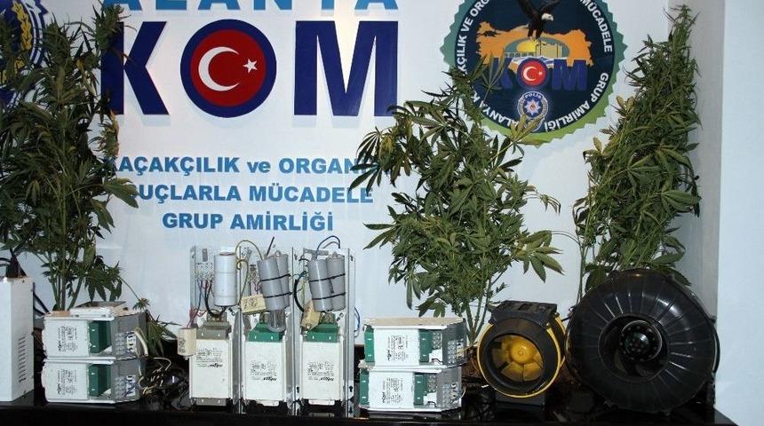 Alanya&rsquo;da Uyuşturucu Satıcılarına Şafak Operasyonu