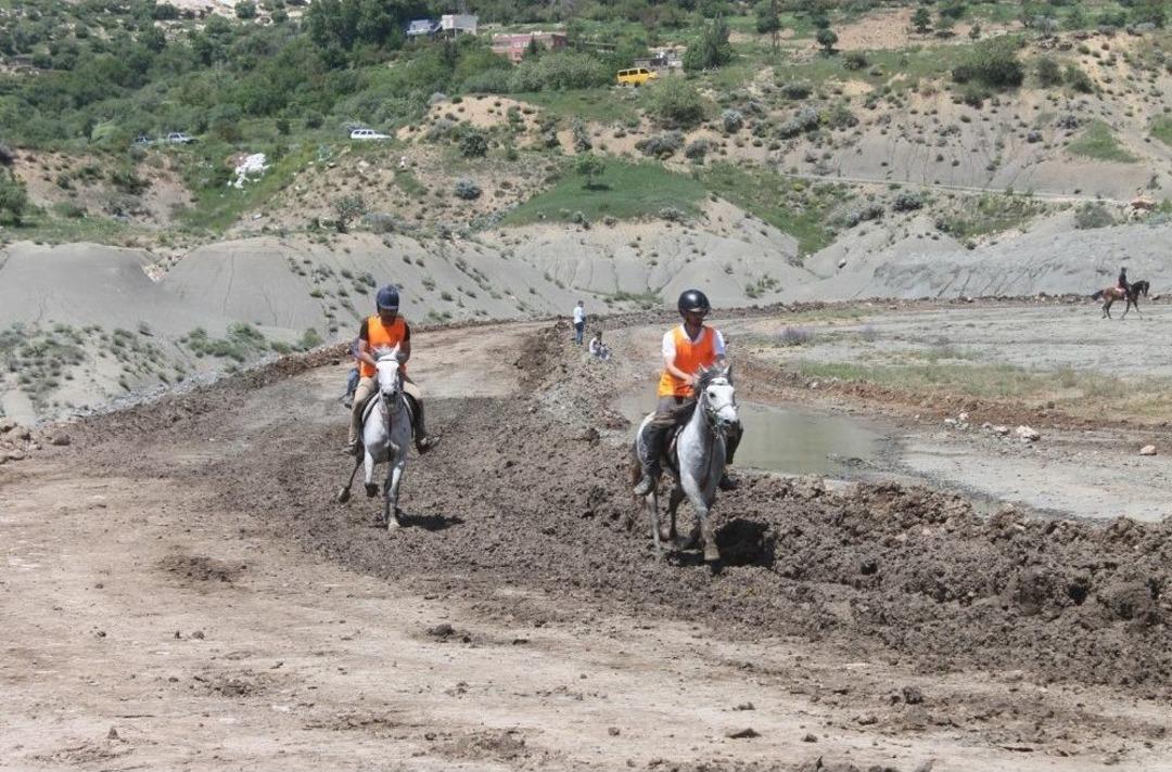 Mardin&rsquo;de Rahvan Atları Yarışı Renkli G&ouml;r&uuml;nt&uuml;lere Sahne Oldu
