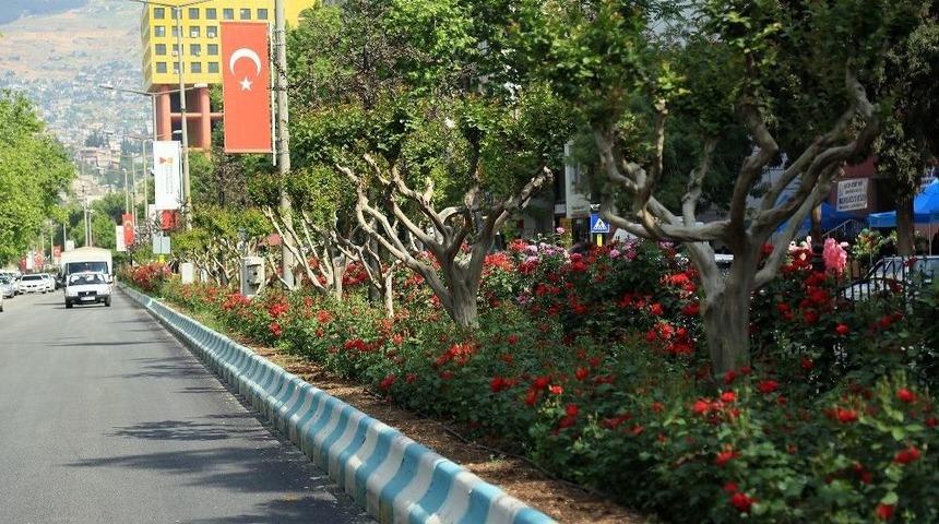 Kahramanmaraş&rsquo;ta Yollar &Ccedil;i&ccedil;ek A&ccedil;tı