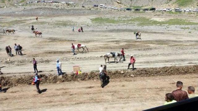 Mardin'de Rahvan Atları Yarışı 