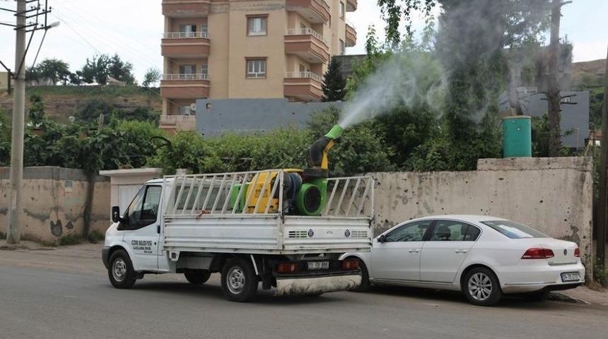 Cizre Belediyesi İla&ccedil;lama &Ccedil;alışmalarını S&uuml;rd&uuml;r&uuml;yor