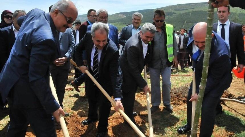 Akşehir Belediyesi&rsquo;nden 15 Temmuz Şehitleri Hatıra Ormanı