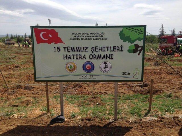 Akşehir Belediyesi’nden 15 Temmuz Şehitleri Hatıra Ormanı