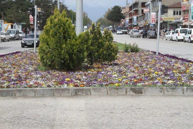 Erzincan’da Ağaçlandırma Çalışması