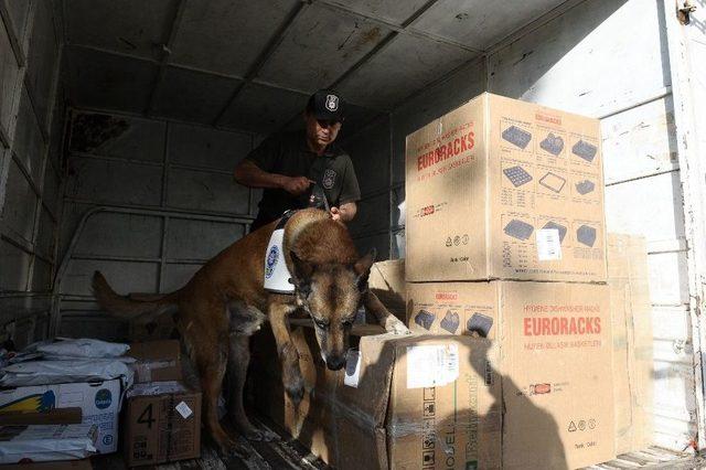 Köprünün Altındaki Uyuşturucuyu Alfa Böyle Buldu