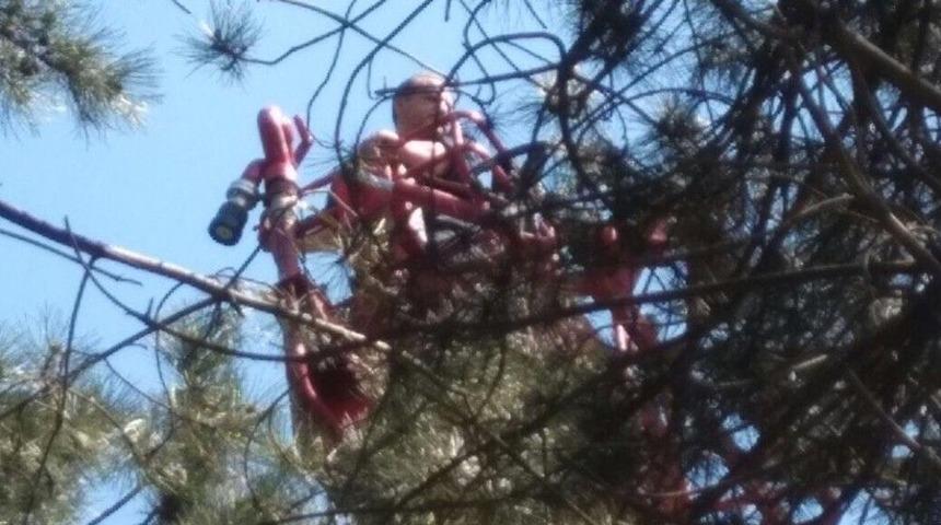 İtfaiye Ekiplerinden &rsquo;baykuş&rsquo; Operasyonu