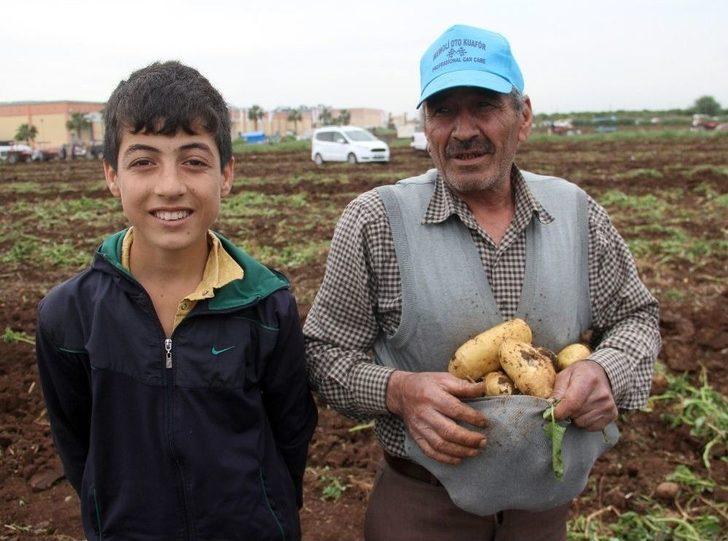 2 Eş, 18 Çocuklu Adam Çocuklarını Doyurmak İçin Başak Topluyor G1