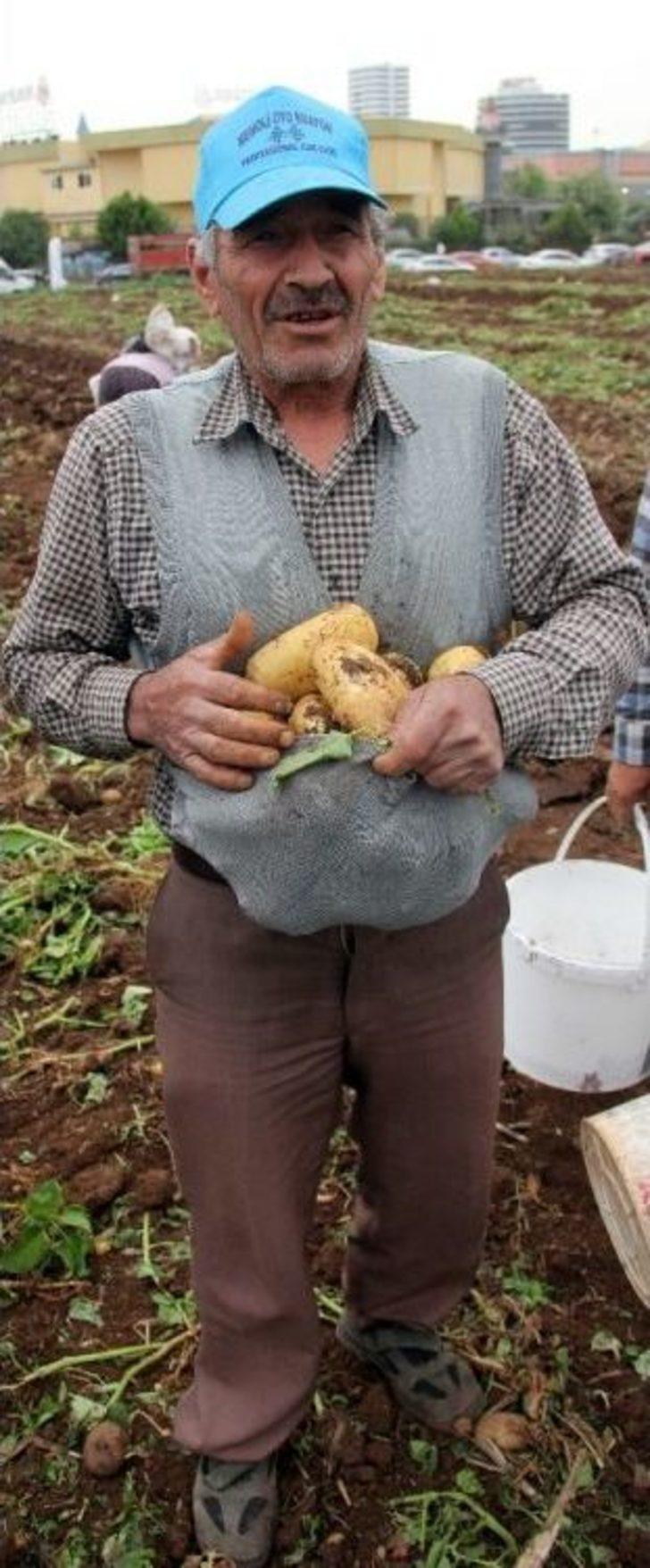 2 Eş, 18 Çocuklu Adam Çocuklarını Doyurmak İçin Başak Topluyor G5