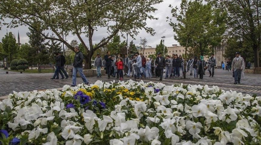 K&uuml;lt&uuml;r Yolunda K&uuml;lt&uuml;r Gezisi