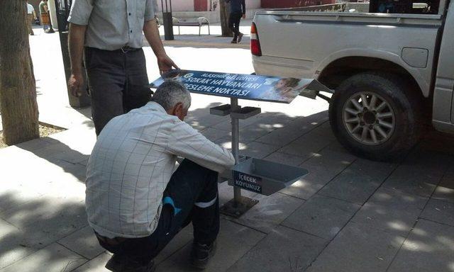 Alaşehir Belediyesi Sokak Hayvanlarını Unutmadı