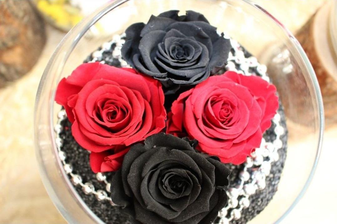 Bu G&uuml;ller Solmuyor