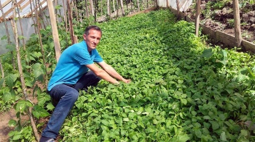 Kabad&uuml;z&rsquo;de Fide Satışları Başladı