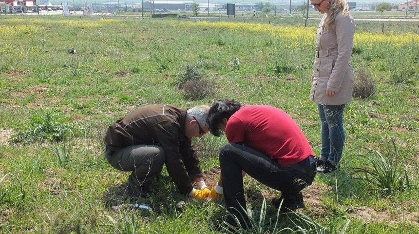 30 Fidan Dikip Uzlaştılar
