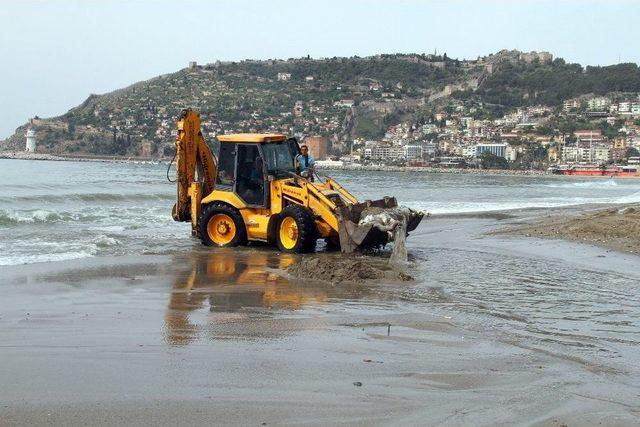 Alanya’da İnek Ölüsü Sahile Vurdu