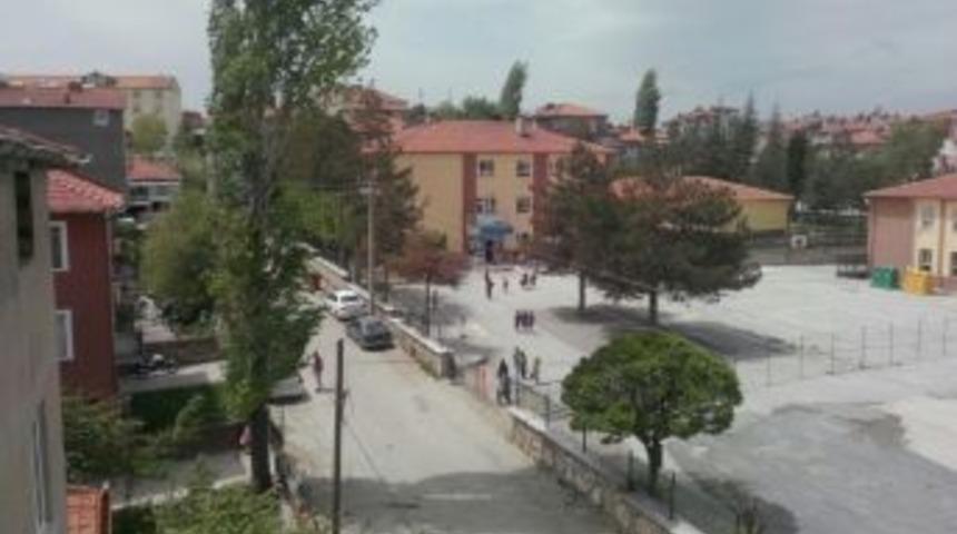 Yaşlı Kavak Ağacı &Ouml;ğrencilerin Can G&uuml;venliğini Tehdit Ediyor