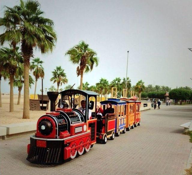 Dokuma&rsquo;nın Bah&ccedil;eleri G&uuml;zelleşiyor 1