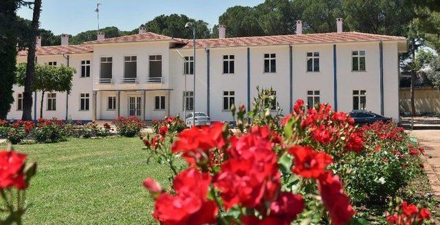 Dokuma&rsquo;nın Bah&ccedil;eleri G&uuml;zelleşiyor 2