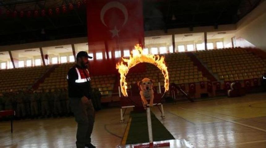 Siverek&rsquo;Te, 123 G&uuml;venlik Korucusu Yemin Etti